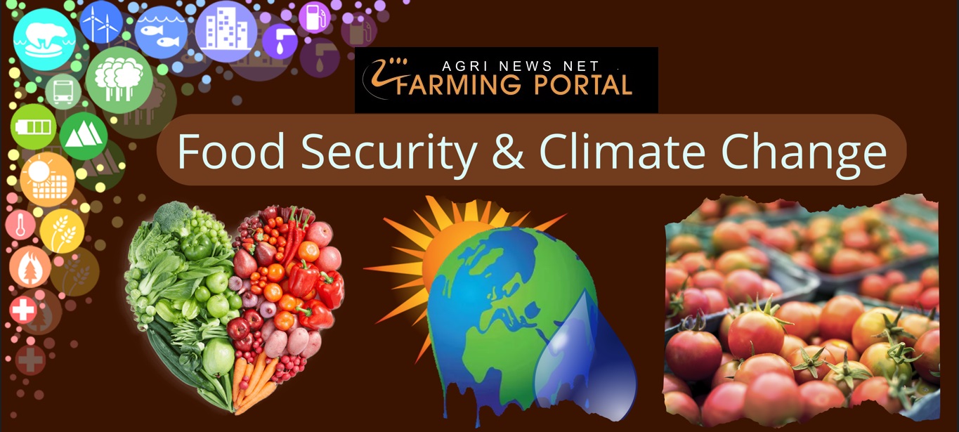SA’s immense responsibility of stabilizing regional food security