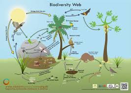 Biosecurity is a vital element of a successful agricultural growth and export strategy