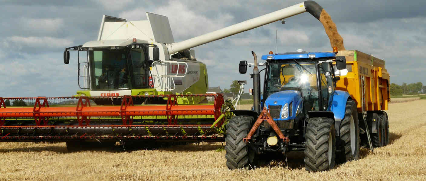 Perspectives on AGRICULTURE’s PERFORMANCE in Q3 of 2021
