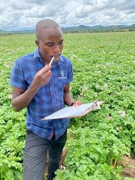 The hidden jobs engine: unleashing the potential of agriculture in sub-Saharan Africa