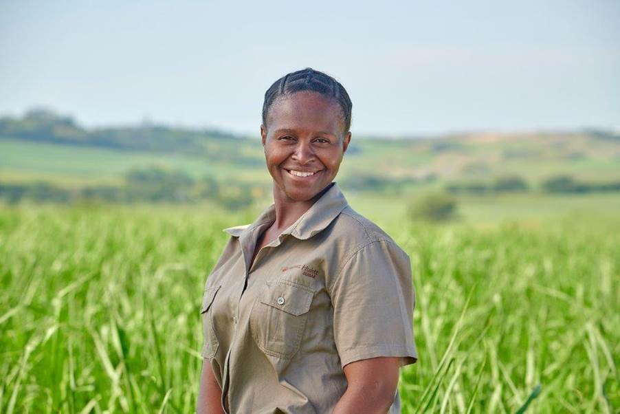 We studied smallholder farming in three African countries for 10 years: why profitable irrigation is key