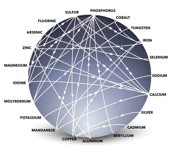 What is BioEnergetic Agriculture?