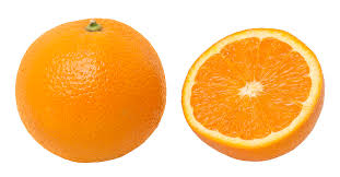 South African citrus exports disrupted by protests
