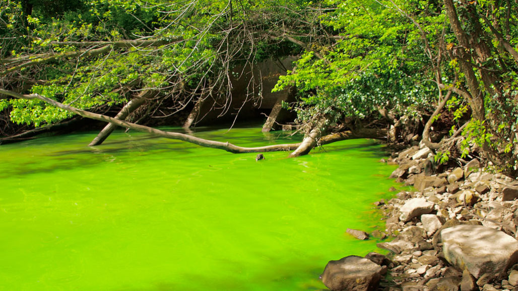 Flooding Earth’s atmosphere with oxygen may not have needed a triggering event