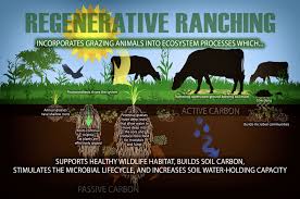 The road to regenerative agriculture: Why we can’t turn our back