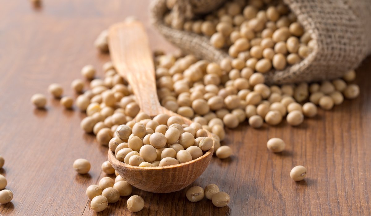 Food policy instruments to stimulate healthy eating and food security