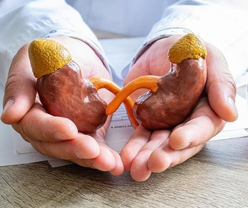 9 Ways to Achieve an Adrenal Cleanse