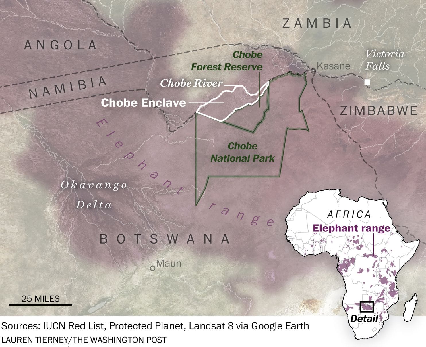 I hate elephants’: Behind the backlash against Botswana’s giants