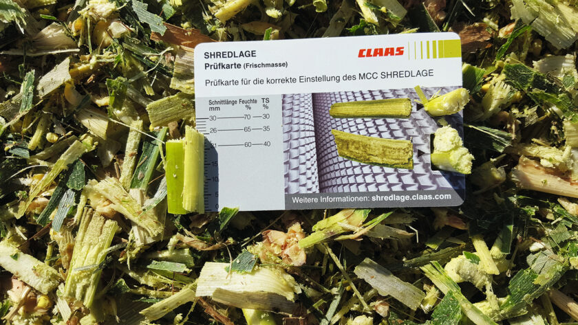 Claas confirms the benefits of Shredlage®