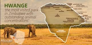 HWANGE NATIONAL PARK, ZIMBABWE