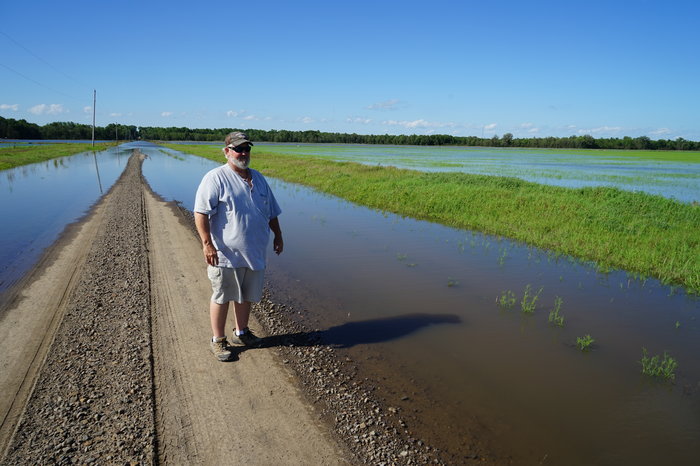 South Africa’s wetlands are disappearing faster than we can restore them