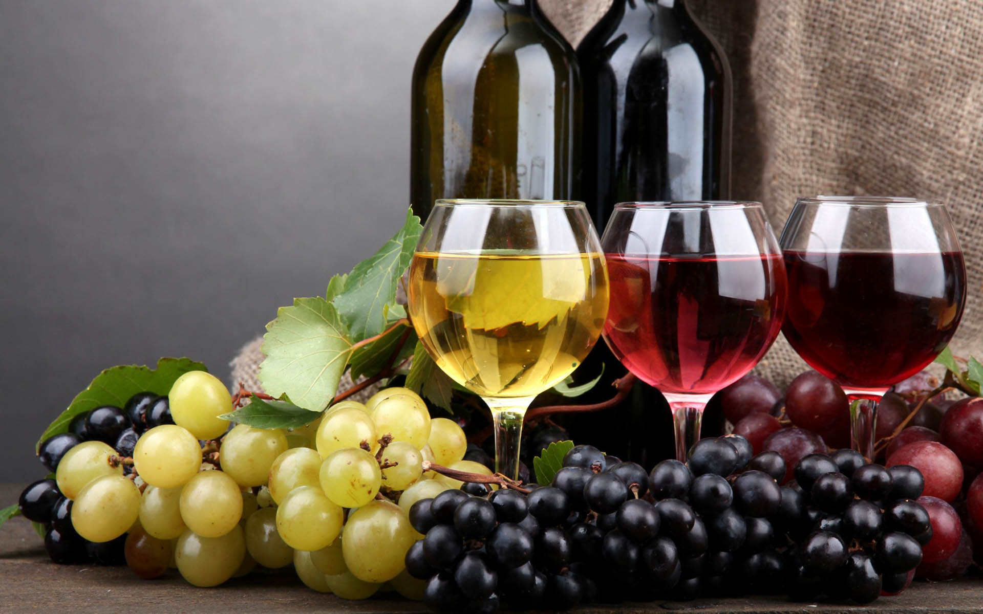 Quality wine begins with sustainable winemaking South Africa